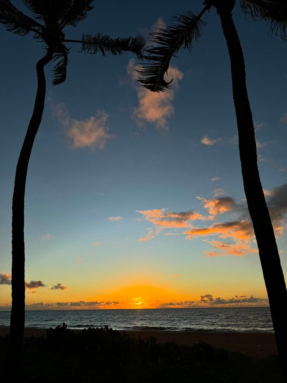 Orla de Maceió ao entardecer, com coqueiros à beira-mar